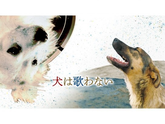4ページ目 社会派 ヒューマン映画の動画視聴なら 初月無料 動画配信サービスのビデオマーケット