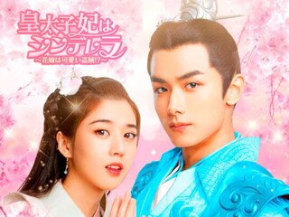 皇太子妃はシンデレラ~花嫁は可愛い盗賊!?~