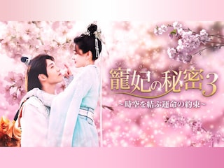 寵妃の秘密3~時空を結ぶ運命の約束~