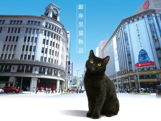 銀座黒猫物語
