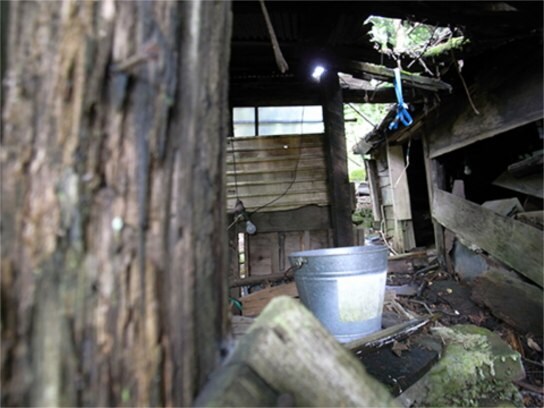 趣味 その他 放送禁止動画file Vol 6 の動画 初月無料 動画配信サービスのビデオマーケット