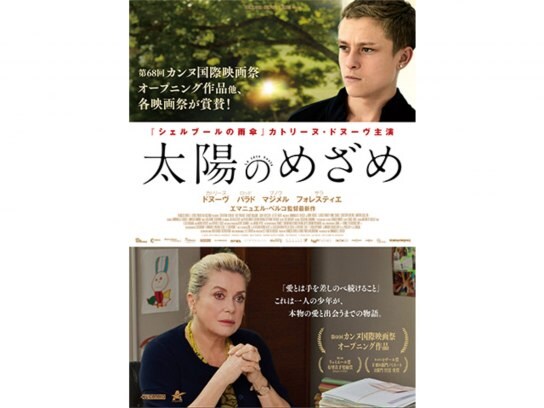 映画 太陽のめざめ の動画 初月無料 動画配信サービスのビデオマーケット 映画 太陽のめざめ の動画 初月無料 動画配信サービスのビデオマーケット