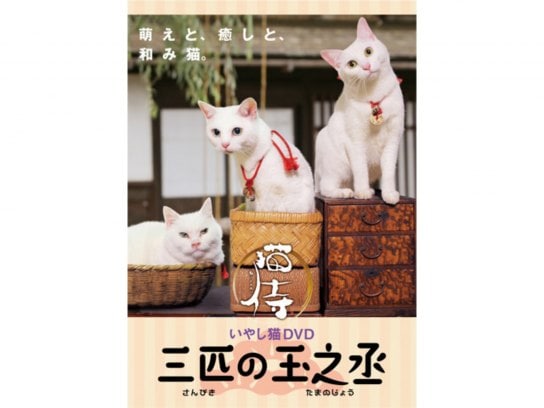 趣味・その他『猫侍 三匹の玉之丞』の動画 【初月無料】動画配信 