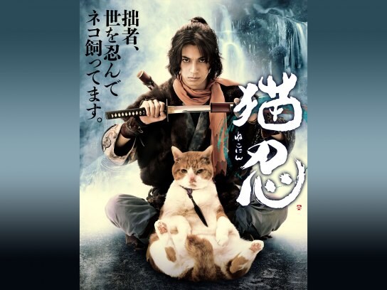ドラマ『猫忍』の動画まとめ 【初月無料】動画配信サービスのビデオ 