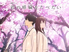 君の膵臓をたべたい の動画まとめ 無料体験 動画配信サービスのビデオマーケット