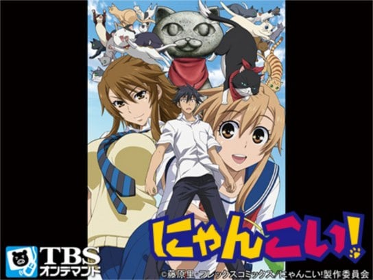 アニメ にゃんこい の動画まとめ 初月無料 動画配信サービスのビデオマーケット