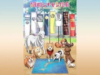 織田シナモン信長