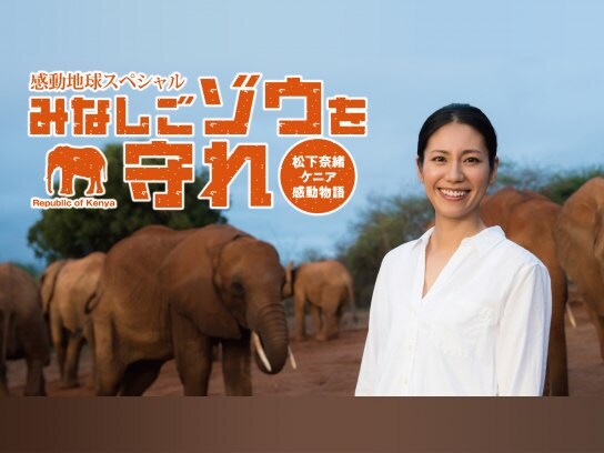 動物ドキュメンタリーの無料動画一覧 動画配信サービスのビデオマーケット 動物ドキュメンタリーの無料動画一覧 動画配信サービスのビデオマーケット