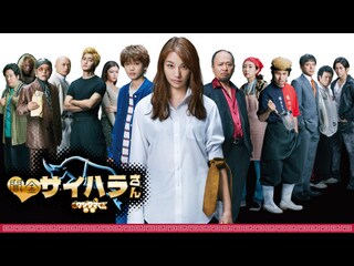 闇金ウシジマくん外伝 闇金サイハラさん