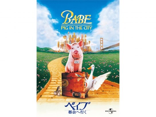 映画 ベイブ 都会へ行く の動画 初月無料 動画配信サービスのビデオマーケット