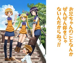 お兄ちゃんのことなんかぜんぜん好きじゃないんだからねっ!!