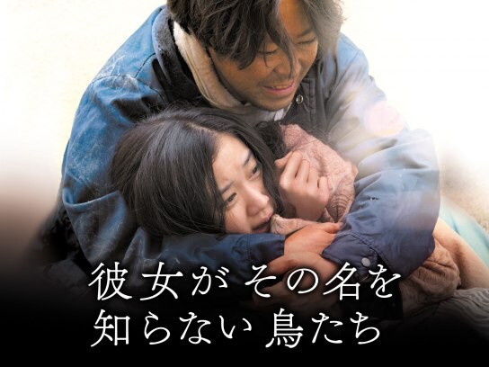 サスペンス映画 ミステリー映画 邦画 の動画視聴一覧 初月無料 動画配信サービスのビデオマーケット