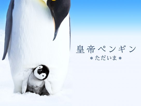 無料視聴あり 映画 皇帝ペンギン ただいま の動画 初月無料 動画配信サービスのビデオマーケット