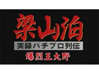 実録 梁山泊 パチプロ列伝 爆裂王大野