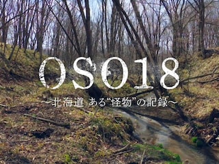 OSO18　～北海道　ある“怪物”の記録～