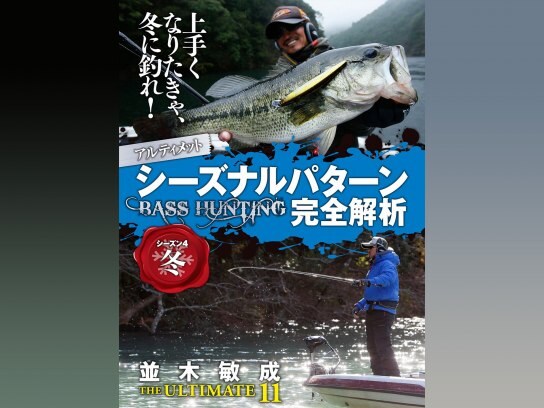 趣味 その他 並木敏成 The Ultimate 11 シーズナルパターン完全解析 冬編 の動画 初月無料 動画配信サービスのビデオマーケット