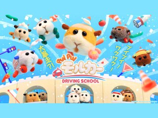 PUI PUI モルカー DRIVING SCHOOL