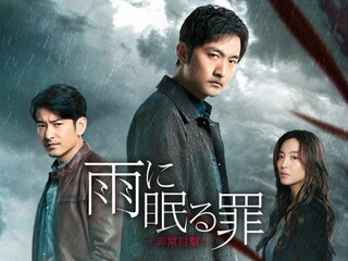 雨に眠る罪-非常目撃-