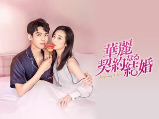 華麗なる契約結婚