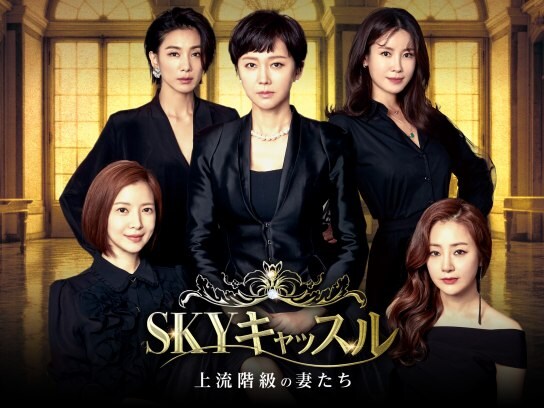 無料視聴あり ドラマ Skyキャッスル 上流階級の妻たち の動画まとめ 初月無料 動画配信サービスのビデオマーケット