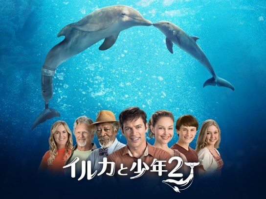 映画 イルカと少年2 の動画 初月無料 動画配信サービスのビデオマーケット