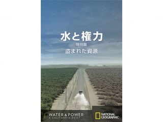水と権力 特別篇：盗まれた資源