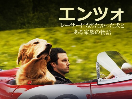 映画 エンツォ レーサーになりたかった犬とある家族の物語 の動画 初月無料 動画配信サービスのビデオマーケット