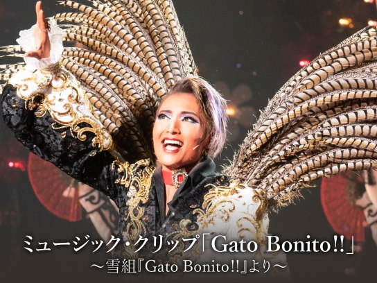 ミュージック・クリップ「Gato Bonito!!」～雪組『Gato Bonito!!』より～