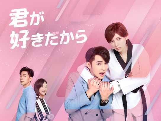 無料視聴あり ドラマ 君が好きだから の動画まとめ 初月無料 動画配信サービスのビデオマーケット