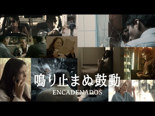 15年洋画作品の動画視聴一覧 初月無料 動画配信サービスのビデオマーケット